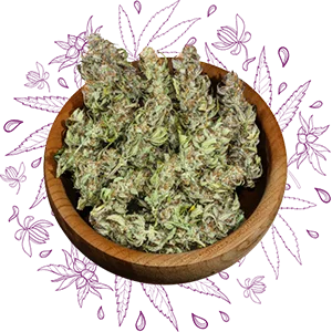 Flores de cannabis em uma cuia rústica de madeira.